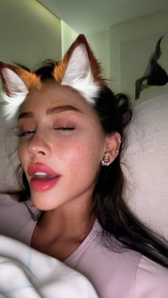 reinekhhh