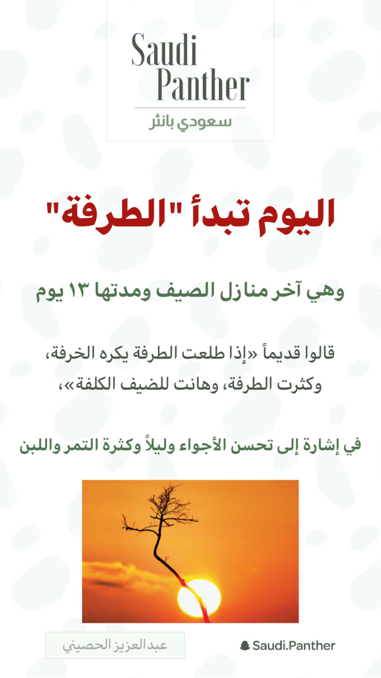 محتوى سناب شات لـ SAUDI PANTHER