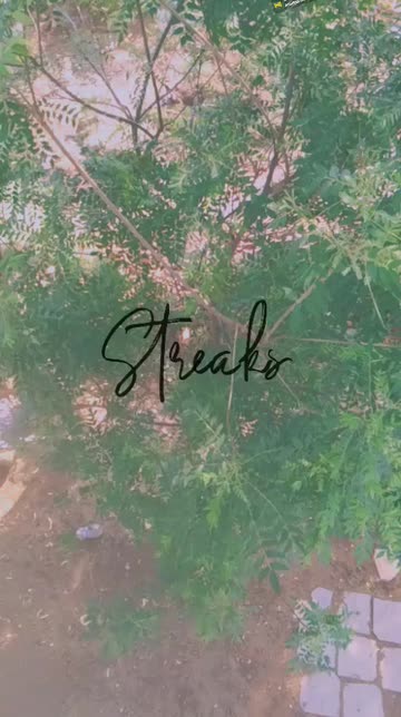 Preview for a Spotlight video that uses the Streaks Lens