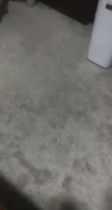 Preview for a Spotlight video that uses the Naruto Lens