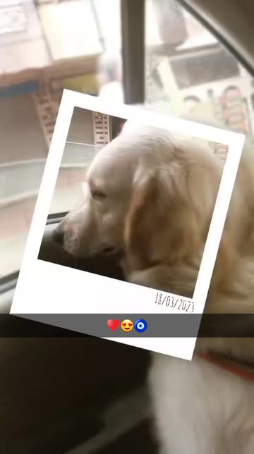 Preview for a Spotlight video that uses the Polaroid Lens