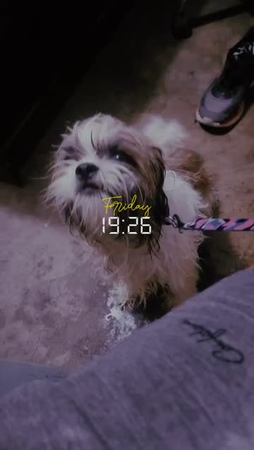 Preview for a Spotlight video that uses the DAY TIME Lens