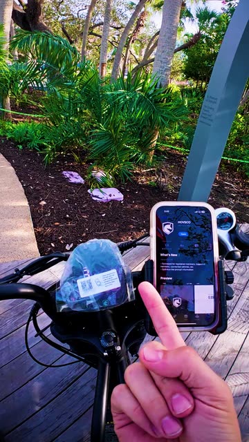 Scooter Quest