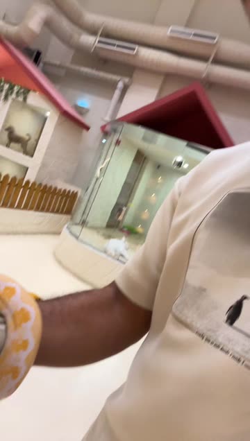 حسن Hassan