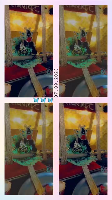 Preview for a Spotlight video that uses the Butterflies Collage 🦋 Lens