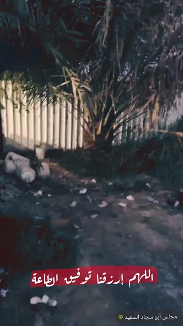 Preview for a Spotlight video that uses the 1990 - 5 in 1 Lens