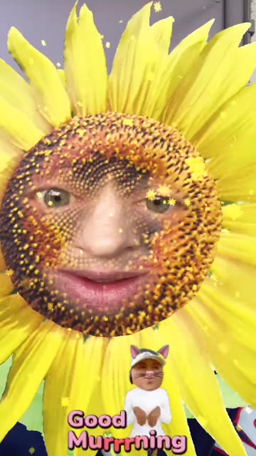 Preview for a Spotlight video that uses the SUNFLOWER ME Lens