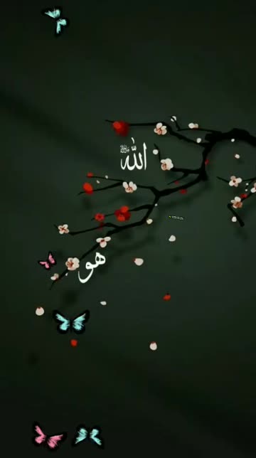 Preview for a Spotlight video that uses the ISLAMIC Lens