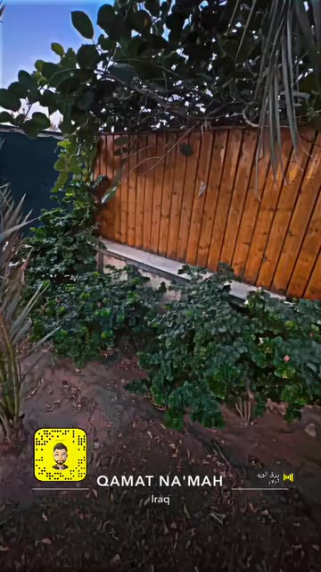 Preview for a Spotlight video that uses the HDR Night Lens