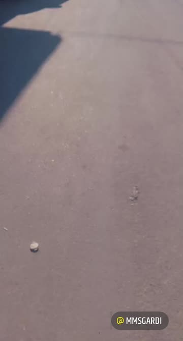 Preview for a Spotlight video that uses the MooN Lens