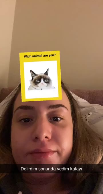 Preview for a Spotlight video that uses the Wich animal Lens