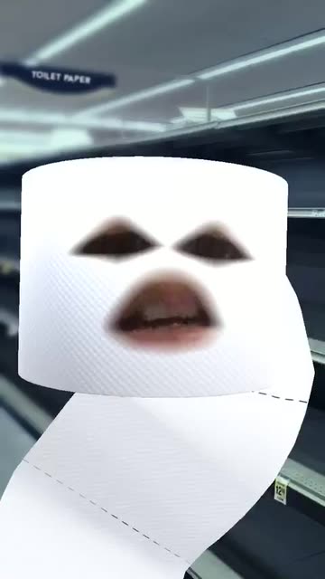 Preview for a Spotlight video that uses the Toilet Paper Lens