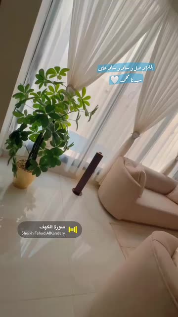 Preview for a Spotlight video that uses the Sunny Scenes Lens