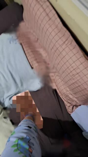 Preview for a Spotlight video that uses the HIDE UR DAWGS Lens