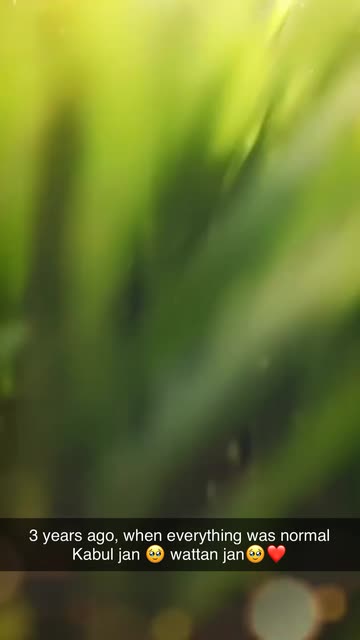 Preview for a Spotlight video that uses the Hexagon Board Lens