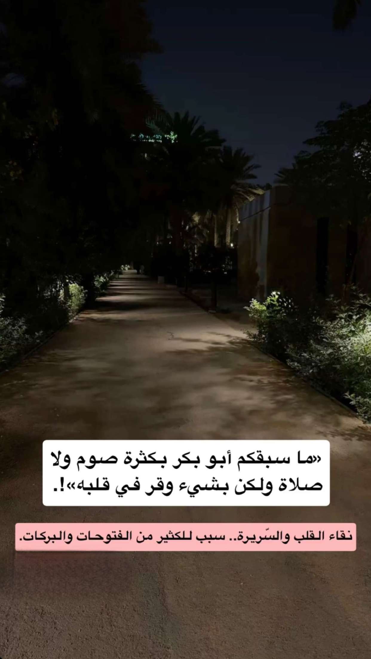 محتوى سناب شات لـ مها الصيخان 🍃☕️🎨