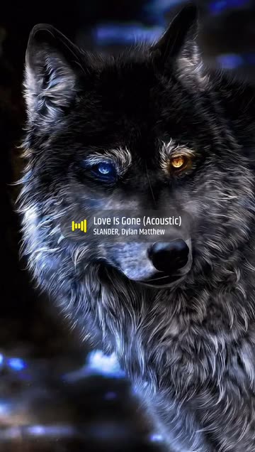 Preview for a Spotlight video that uses the Wolf Lens