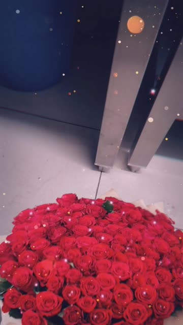 Preview for a Spotlight video that uses the 101 Roses Lens