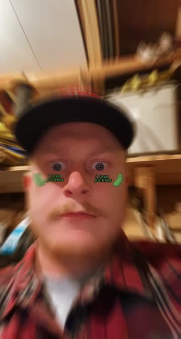 Preview for a Spotlight video that uses the i love pickles Lens