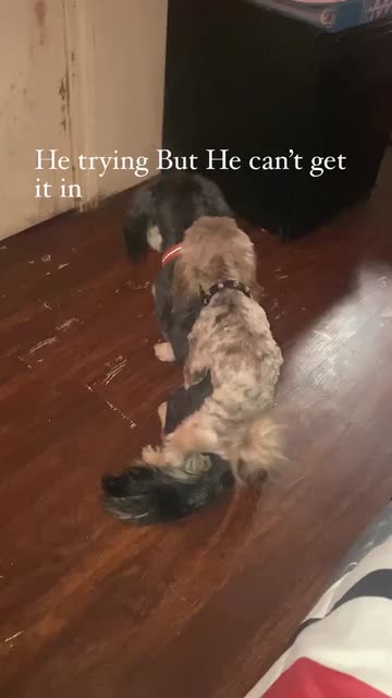 Spotlight content by a Snapchat user