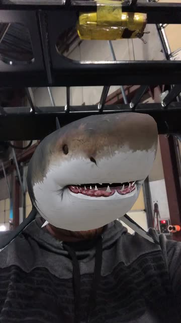Preview for a Spotlight video that uses the Shark Lens