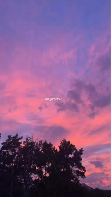 suziecute-ox