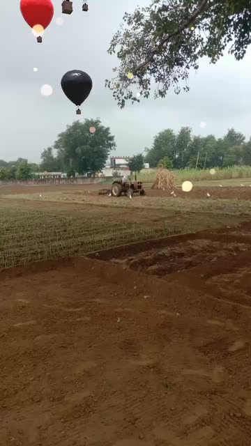 Preview for a Spotlight video that uses the Hot Air Balloons Lens