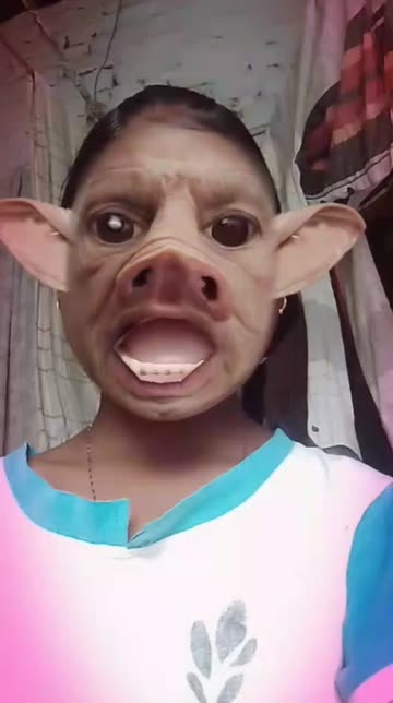 Preview for a Spotlight video that uses the THE-PIGS-HYBRID Lens