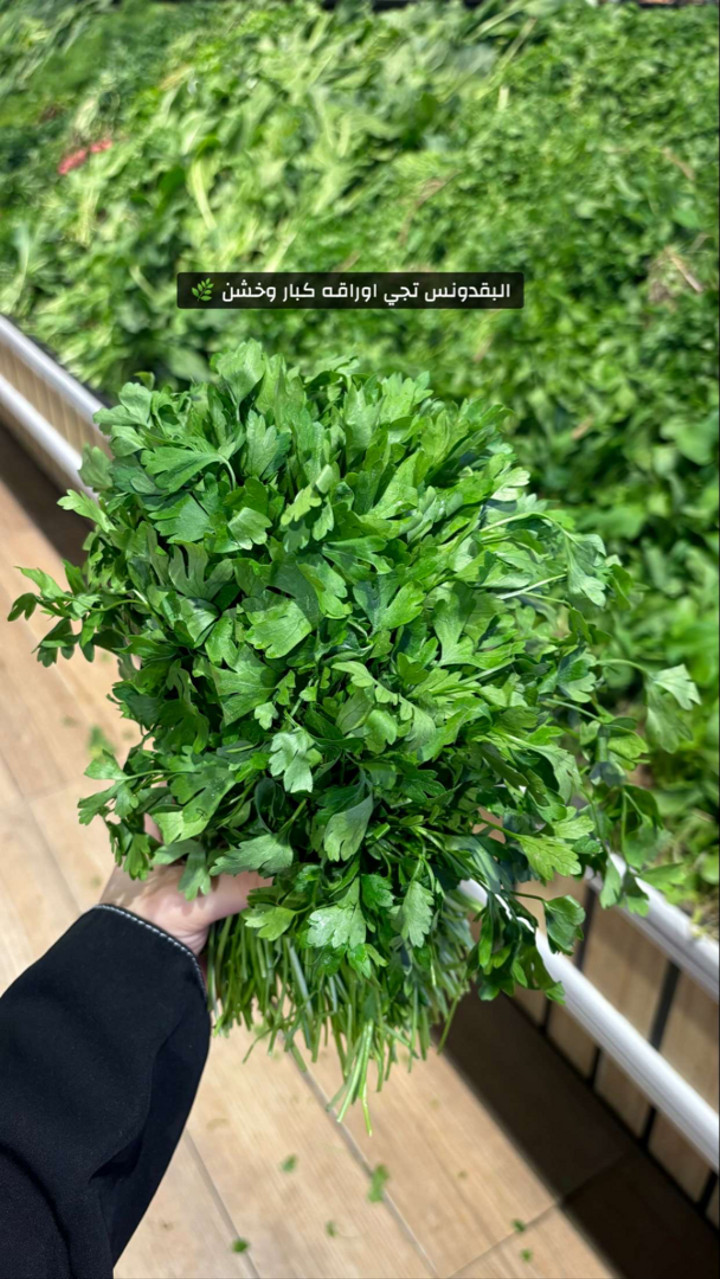 محتوى سناب شات لـ هديل آل سلطان🪄