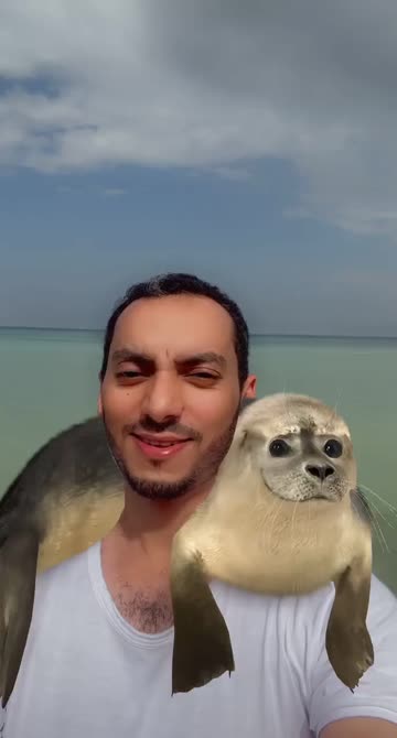 Preview for a Spotlight video that uses the Derpy Seal Lens