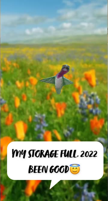 Preview for a Spotlight video that uses the Hummingbird Lens