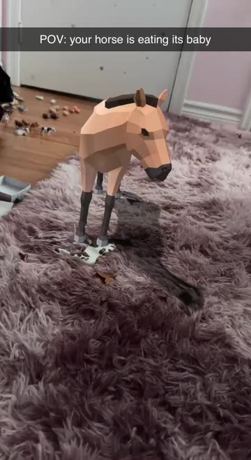 Preview for a Spotlight video that uses the Western Horse Lens