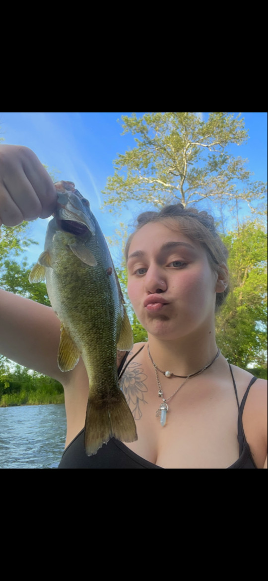 ggbhabie