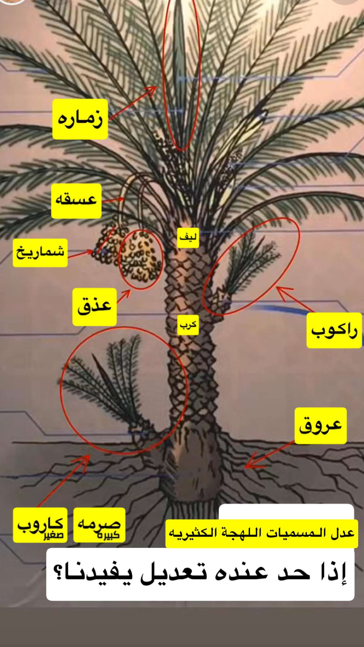 محتوى سناب شات لـ رايد الكثيري