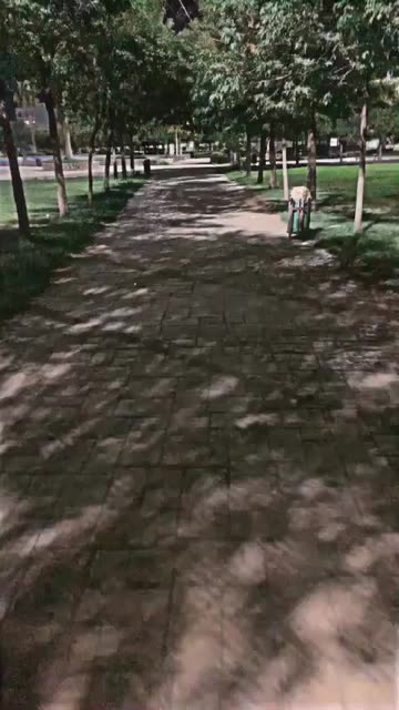 Preview for a Spotlight video that uses the HaMa ExperT Lens