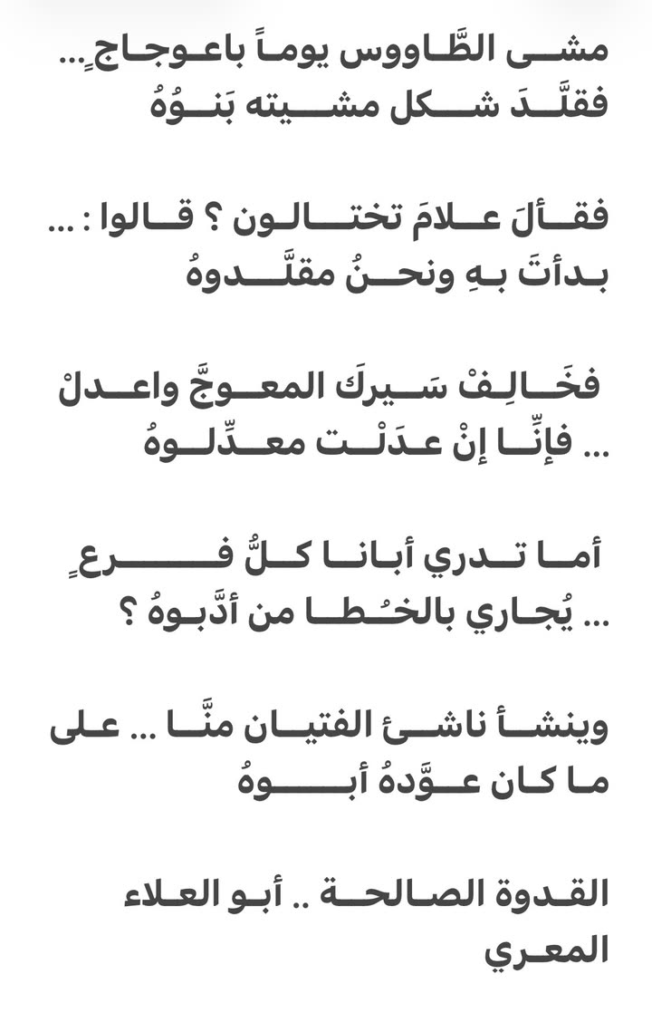 محتوى سناب شات لـ م. علي الشهري