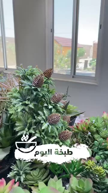 Preview for a Spotlight video that uses the COOKED Day Lens