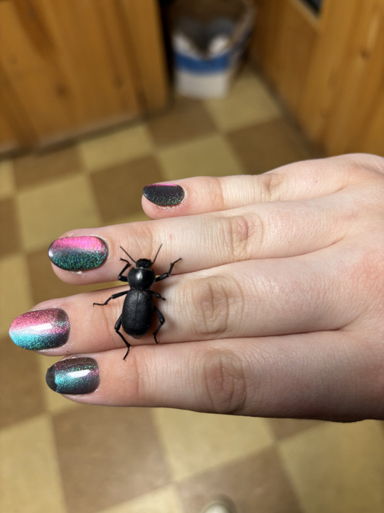 saragracetgg