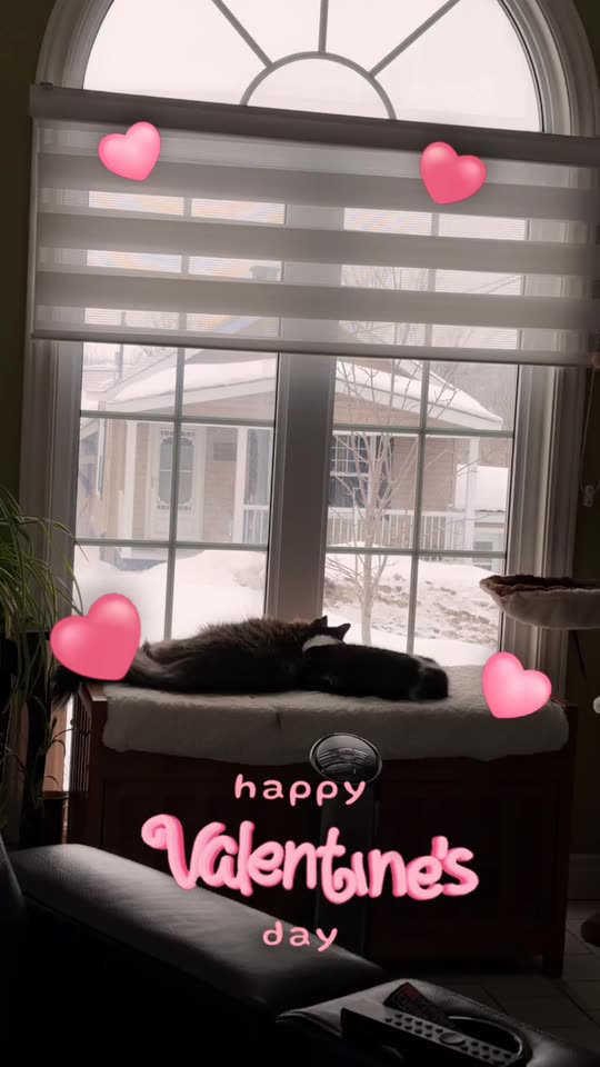 oceanmaddie