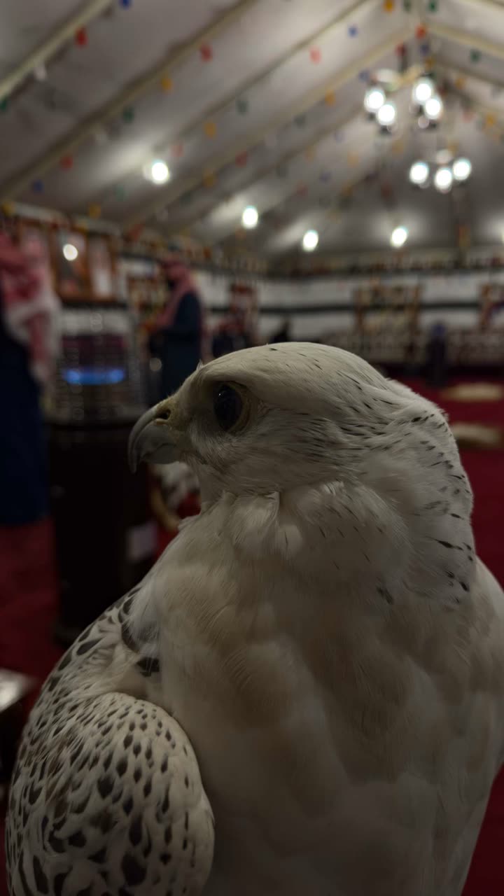 محتوى سناب شات لـ حـآتم بَـن فهـَد