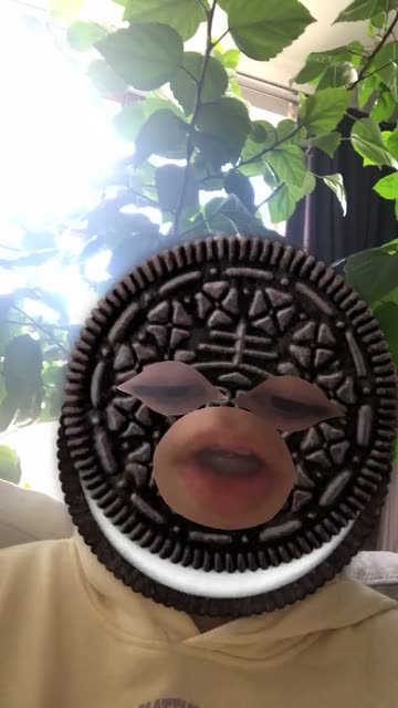 Preview for a Spotlight video that uses the Oreo Lens