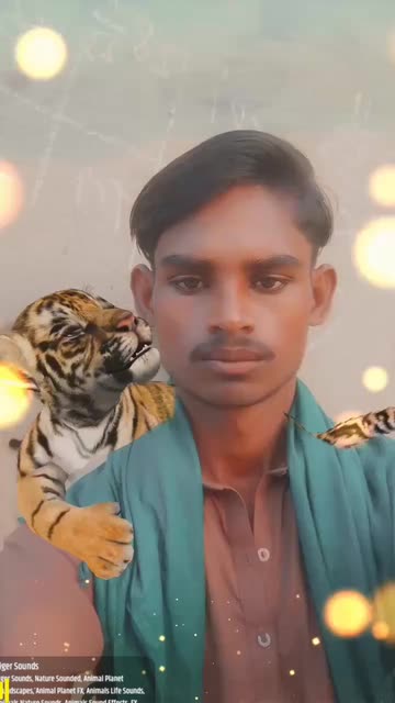 Preview for a Spotlight video that uses the Cute Tiger Lens