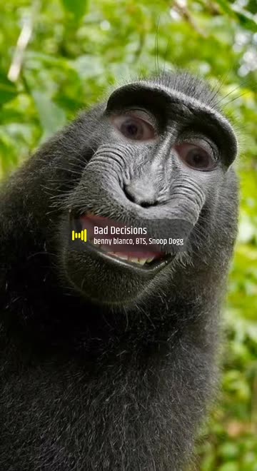 Preview for a Spotlight video that uses the Smiley Monkey Face Lens