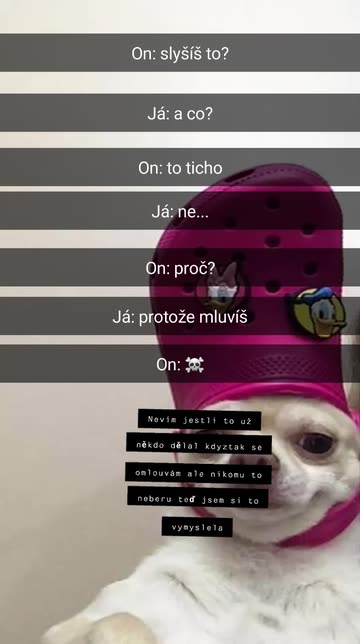 Preview for a Spotlight video that uses the Croc Doggo Lens
