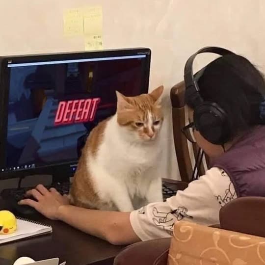 madaraboo