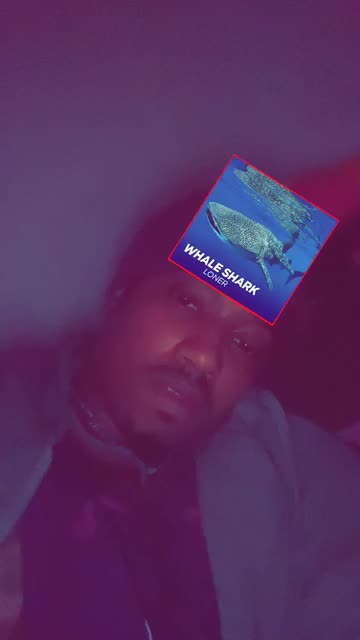 Preview for a Spotlight video that uses the Shark Quiz Lens