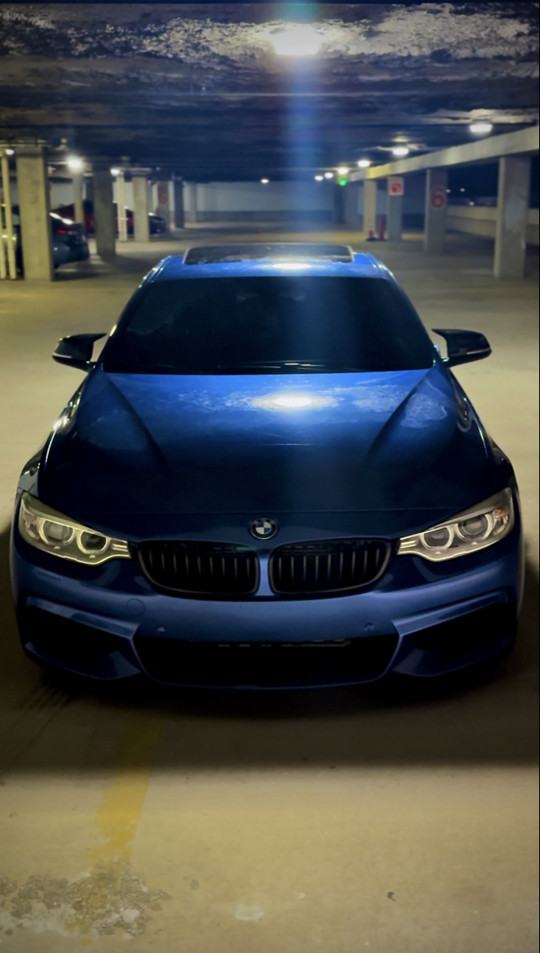 q50.steven