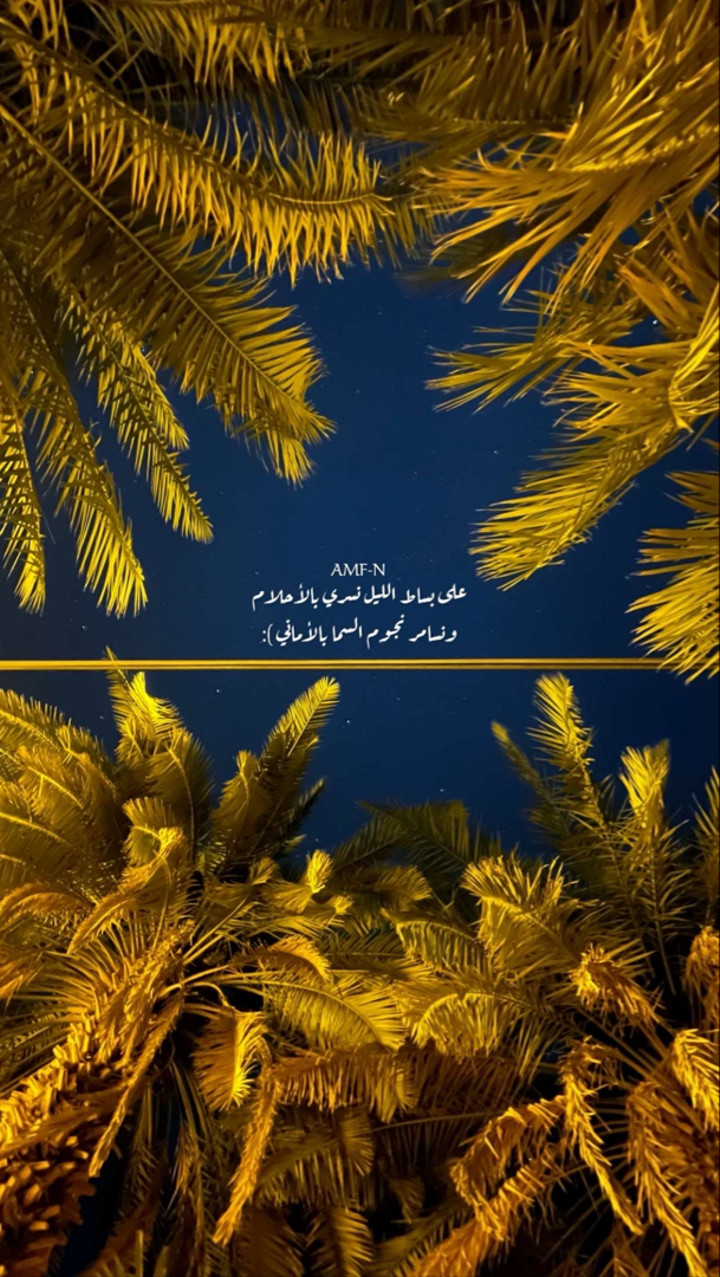 محتوى سناب شات لـ أحمد آل مسعود.