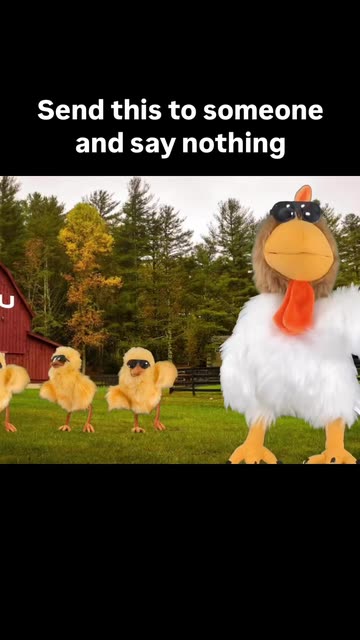 Memes To Send Videos