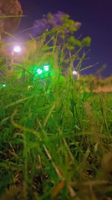 Preview for a Spotlight video that uses the Walk Lens